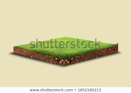 Stok fotoğraf: Green Earth Concept In Isometric View