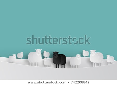 Stok fotoğraf: Black Sheeps