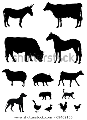 Vector Illustration Of Various Farm Animals Silhouettes Stock fotó © oorka