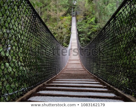 ストックフォト: Suspension Bridge Over Canyon