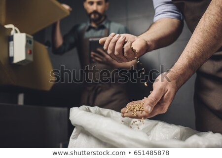 Foto stock: Brewery Detail