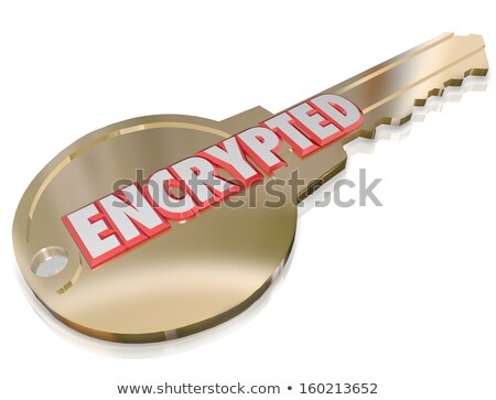 Information Theft - Gold 3d Words Stock photo © iQoncept