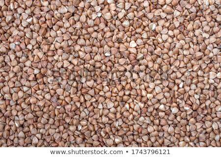 [[stock_photo]]: Heap Of Agricultural Crop Seed As Background