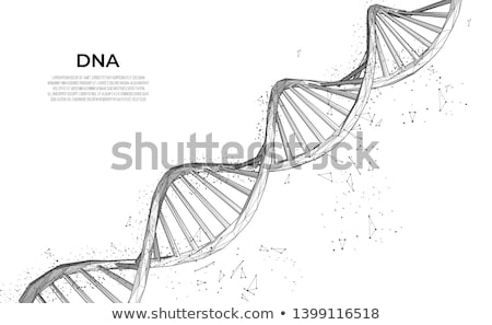 Stok fotoğraf: Dna Structure Vector Abstract Helix Genetic Molecule Futuristic Code Illustration