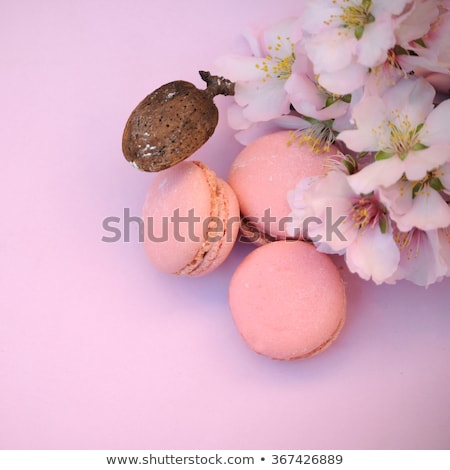 Stockfoto: French Delicacy Macaroons Colorful With Spring Blossom