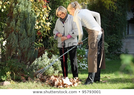 Foto stock: Senior Woman With Lawn Rake Working At Garden