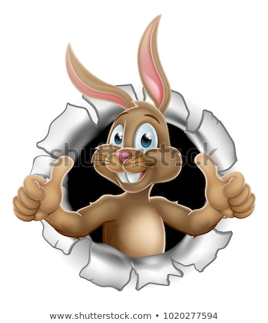 Сток-фото: Easter Bunny Rabbit Cartoon Giving Thumbs Up