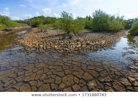 [[stock_photo]]: Dry Cracked Earth And Grass