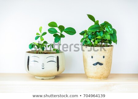 Stockfoto: Clay Flower Pot Over White Background