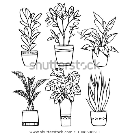 Foto stock: Flower Pot With Sketched Flower