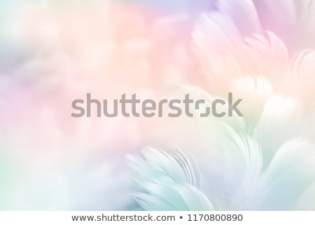 Zdjęcia stock: A White And Blue Angel Background