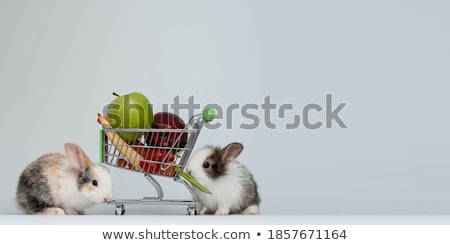 Stok fotoğraf: Shopping Cart With Easter Eggs And Bunny Isolated On White