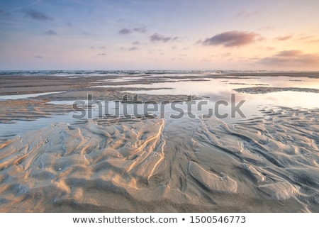 Foto stock: Dutch Wadden Island Terschelling