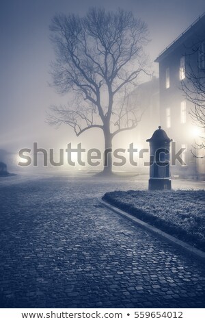 Zdjęcia stock: Foggy Road With Old Lamps