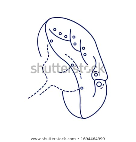 Foto stock: Artificial Kidney