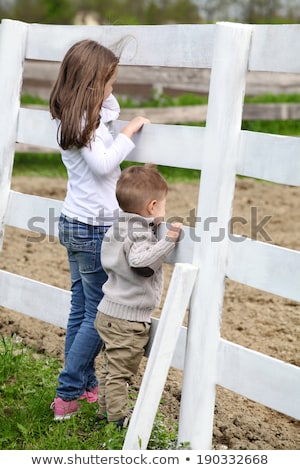 ストックフォト: Pre Teen Girl And Baby Boy On The A White Picket Fence Beside Th
