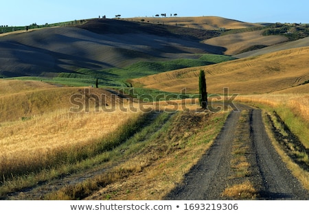 Stock photo: Landscape Montepulciano