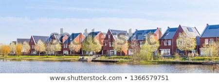 Stock photo: Daffodils In Front Of A Blue Sky