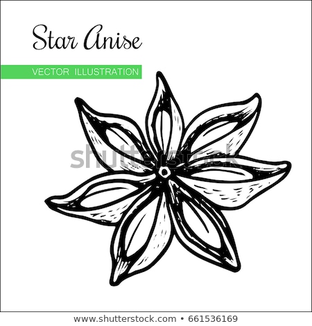 Сток-фото: Star Anise Or Illicium Verum