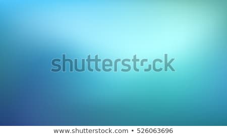 Foto stock: Vector Blurred Background