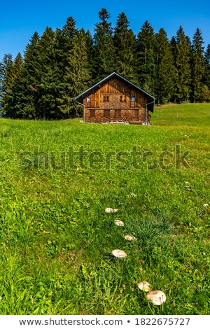 Stock photo: Autumn Landscape With A Beautiful Forest And A Wooden Hut In The