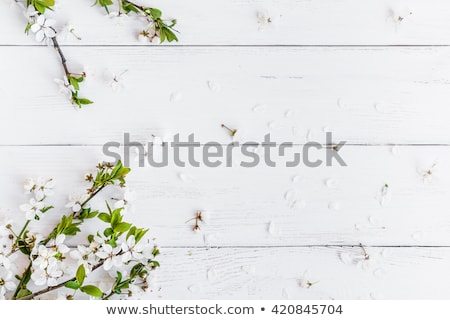 [[stock_photo]]: The Flowers On White Wooden Background