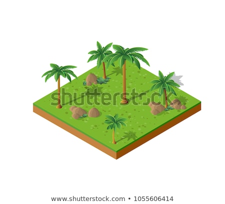 Stock foto: Palm Tree Isometric 3d Element