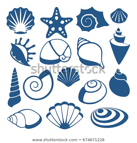 ストックフォト: Vector Set Of Sea Shell