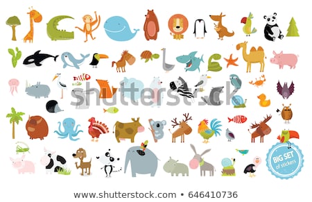 Stock foto: Zebra Cartoon Animal Character Illustration