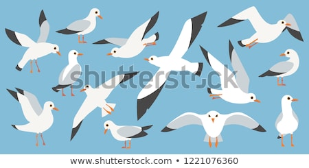 Foto stock: Sea Gull Flying In The Blue Sky