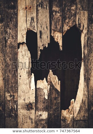 Hole In A Wooden Wall Zdjęcia stock © winnond