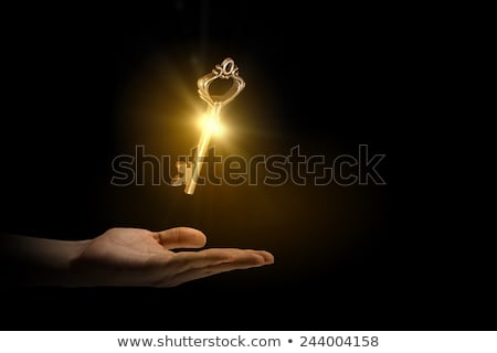 Zdjęcia stock: Hands With A Gold Key