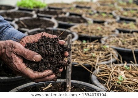 Zdjęcia stock: Farmer Holding Pile Of Arable Soil In Hands