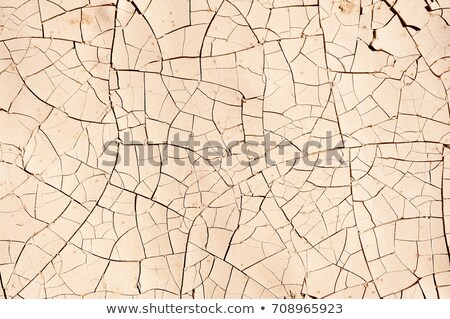 Stok fotoğraf: Dried And Cracked Mud