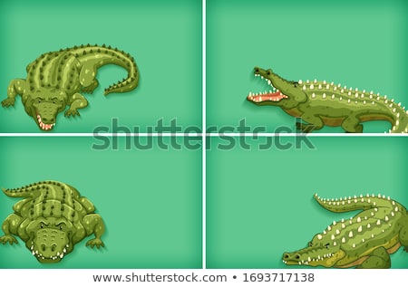 Stock fotó: Background Template Design With Plain Color And Crocodile