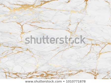 Foto d'archivio: Vector Marbled Background