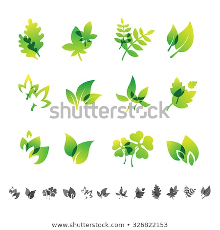 Stock fotó: Beautiful Green Leaves Stylized With Organic Lines