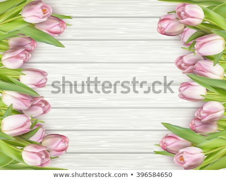 Stock fotó: Bouquet Of Pink Tulips Eps 10
