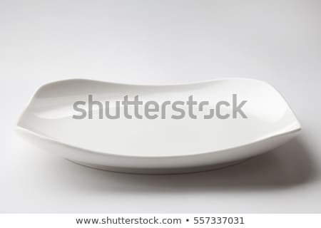 Stock fotó: Rectangular Porcelain Dishes