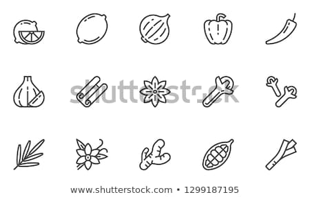 Stock photo: Onion Icon