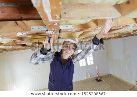 Foto stock: Female Builders With Timber