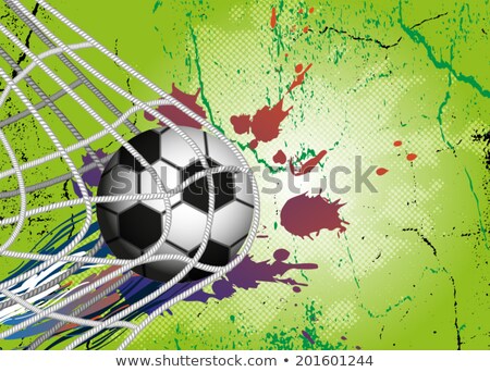 Сток-фото: Brazil Ball In Goal Net