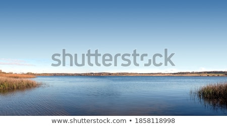 Foto stock: Quiet Backwater