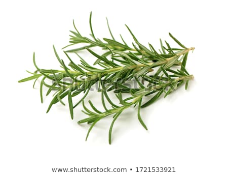 Foto stock: Fresh Rosemary Twigs