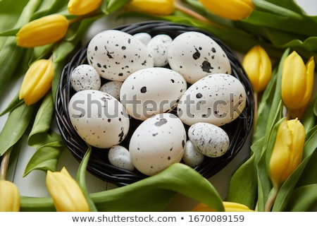 Foto d'archivio: Beautiful Yellow Tulips With Dotted Quail And Chicken Eggs In Nest On White