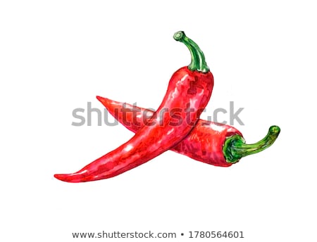 [[stock_photo]]: Red Pepper On White Background Watercolor Illustration