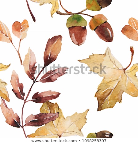 ストックフォト: Pattern With Watercolor Oak Leaves