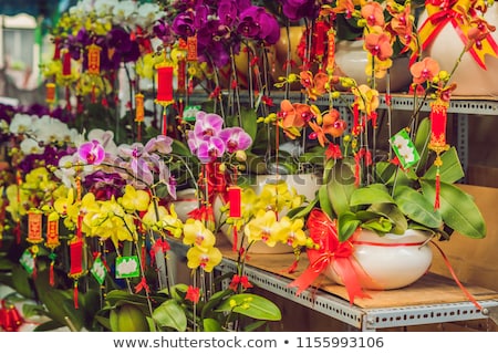 Stock foto: Yellow Flowers In Honor Of The Vietnamese New Year Lunar New Year Flower Market Chinese New Year