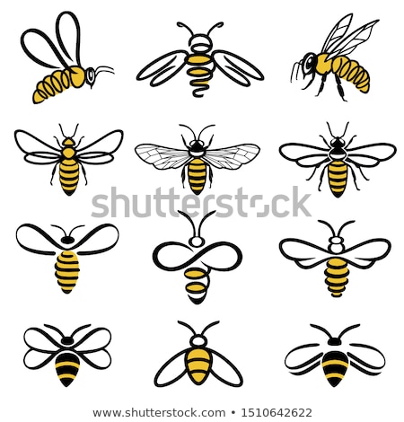 Stok fotoğraf: Collection Honey Beekeeping Apiary Set Vector