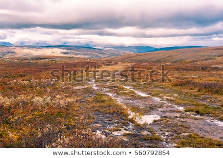 Stockfoto: The Moorland In The Autumn